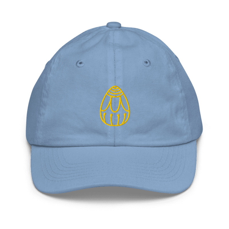 Youth baseball cap